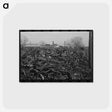 アートポストカード-Lotfull of Scrap Iron, Oklahoma City
 - ラッセル リー Postcard.