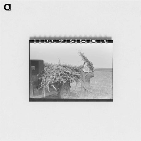 アートメモ帳-Loading Corn
 - ラッセル リー Memo.