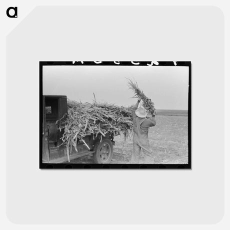 アートポストカード-Loading Corn
 - ラッセル リー Postcard.