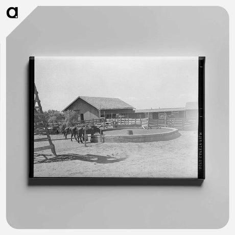 アートパネル-SMS Ranch
 - ラッセル リー Canvas.