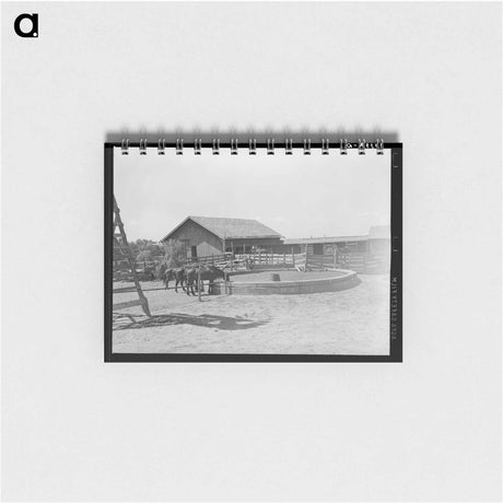 アートメモ帳-SMS Ranch
 - ラッセル リー Memo.