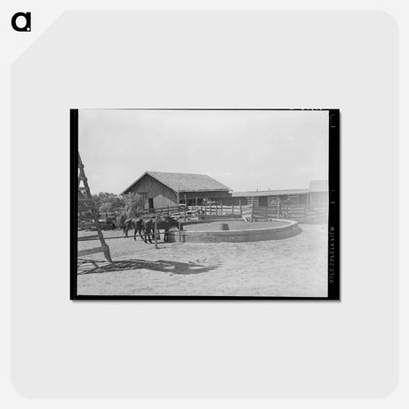 アートポストカード-SMS Ranch
 - ラッセル リー Postcard.