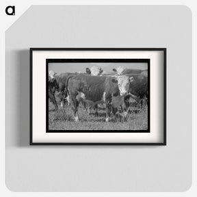 アートポスター-Yearlings, Cruzen Ranch, Valley County, Idaho
 - ラッセル リー Poster.