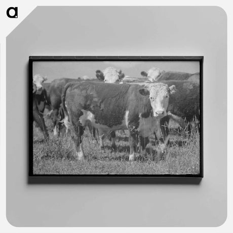 アートパネル-Yearlings, Cruzen Ranch, Valley County, Idaho
 - ラッセル リー Canvas.