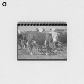 アートメモ帳-Yearlings, Cruzen Ranch, Valley County, Idaho
 - ラッセル リー Memo.