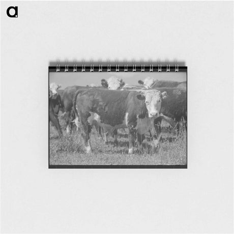 アートメモ帳-Yearlings, Cruzen Ranch, Valley County, Idaho
 - ラッセル リー Memo.