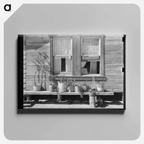 アートパネル-Mexican Home Garden
 - ラッセル リー Canvas.