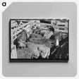 アートパネル-Cattle Auction at San Angelo Stockyards
 - ラッセル リー Canvas.