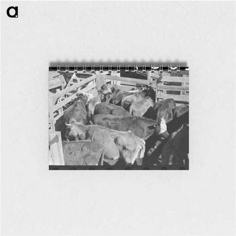 アートメモ帳-Cattle Auction at San Angelo Stockyards
 - ラッセル リー Memo.