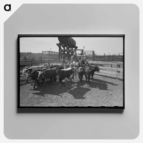 アートパネル-Mexican Cattle Drive
 - ラッセル リー Canvas.