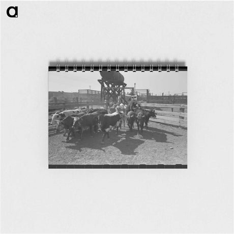アートメモ帳-Mexican Cattle Drive
 - ラッセル リー Memo.