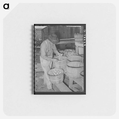 アートメモ帳-Tenant Farmer, Muskogee
 - ラッセル リー Memo.