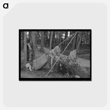 アートポストカード-Airing Bedding, Blueberry Pickers Camp
 - ラッセル リー Postcard.