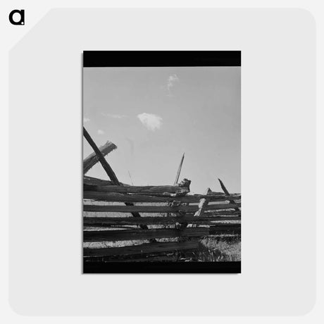 アートポストカード-Moss-Covered Fence
 - ラッセル リー Postcard.