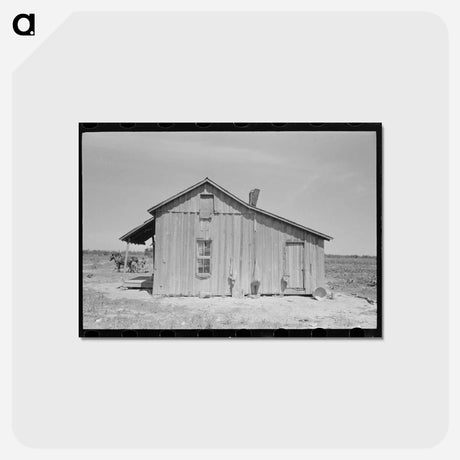 アートポストカード-Sharecropper's Cabin
 - ラッセル リー Postcard.