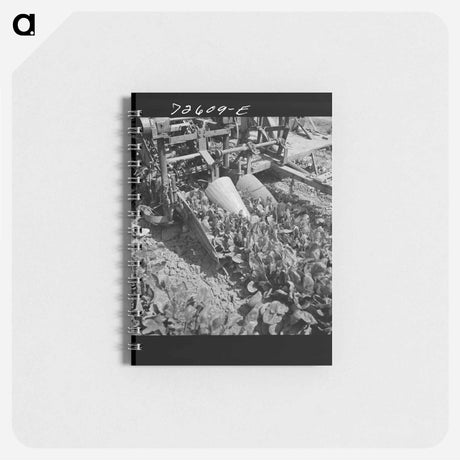 アートメモ帳-Spinach Harvester
 - ラッセル リー Memo.