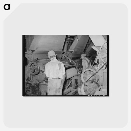 アートポストカード-Cotton Seed Oil Mill Worker
 - ラッセル リー Postcard.