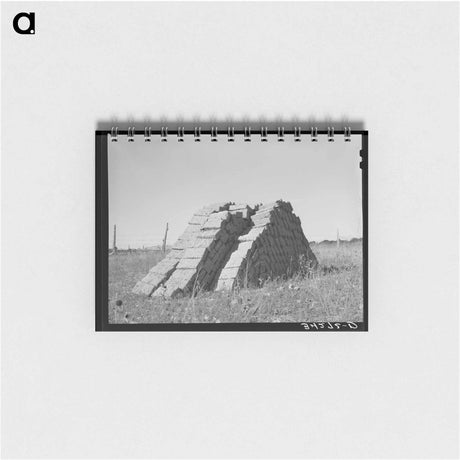 アートメモ帳-Adobe Brick, Questa
 - ラッセル リー Memo.