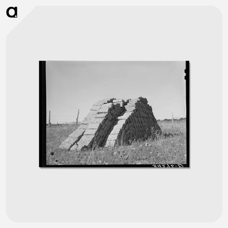 アートポストカード-Adobe Brick, Questa
 - ラッセル リー Postcard.