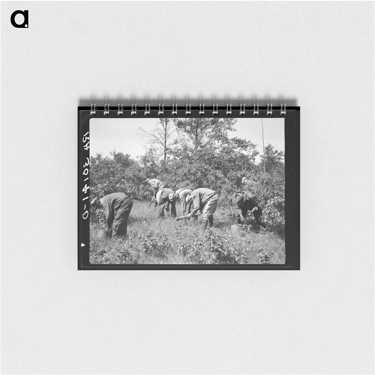 アートメモ帳-Tree Planting
 - ラッセル リー Memo.