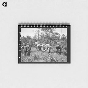 アートメモ帳-Tree Planting
 - ラッセル リー Memo.