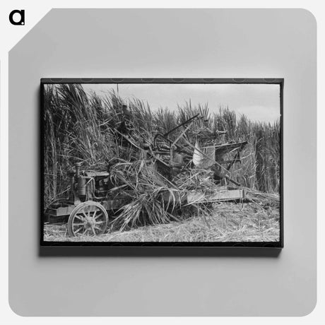 アートパネル-Mechanical Sugarcane Harvester
 - ラッセル リー Canvas.