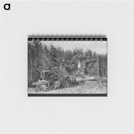 アートメモ帳-Mechanical Sugarcane Harvester
 - ラッセル リー Memo.
