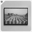 アートパネル-Rice Loading, Crowley, Louisiana
 - ラッセル リー Canvas.