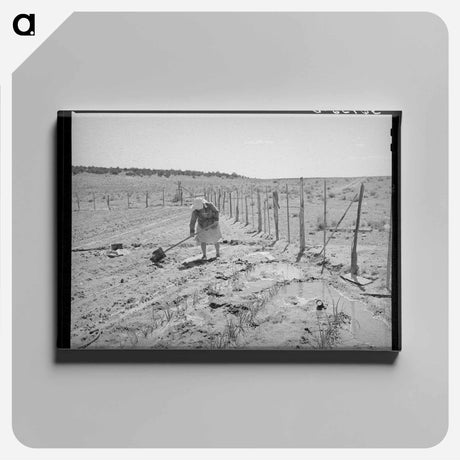 アートパネル-Mrs. George Hutton's Garden
 - ラッセル リー Canvas.