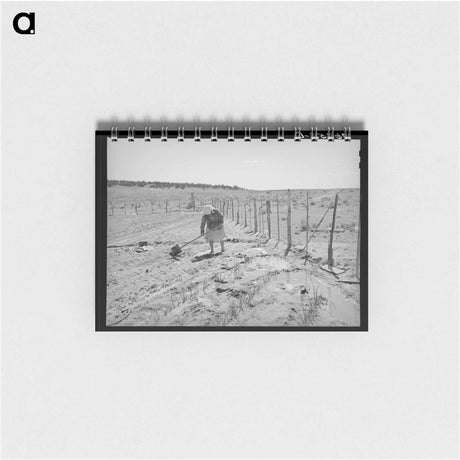 アートメモ帳-Mrs. George Hutton's Garden
 - ラッセル リー Memo.