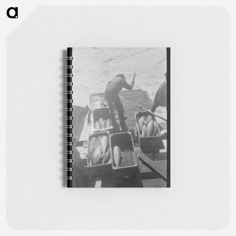 アートメモ帳-Indian Fishing for Salmon, Celilo Falls
 - ラッセル リー Memo.