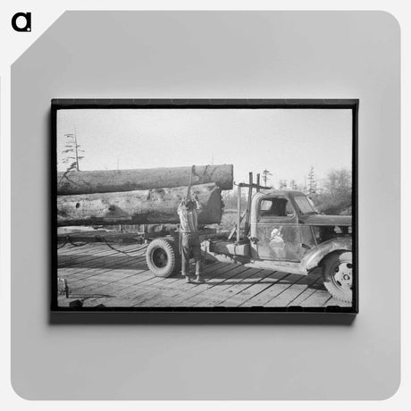 アートパネル-Logs on Truck, Tillamook, Oregon
 - ラッセル リー Canvas.