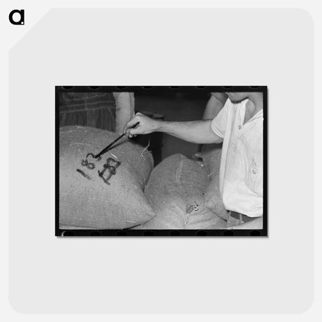 アートポストカード-Painting Rice Sacks
 - ラッセル リー Postcard.