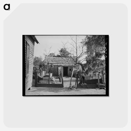 アートポストカード-Sharecropper's Backyard
 - ラッセル リー Postcard.