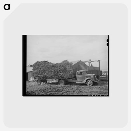 アートポストカード-Dairy Feed Delivery
 - ラッセル リー Postcard.
