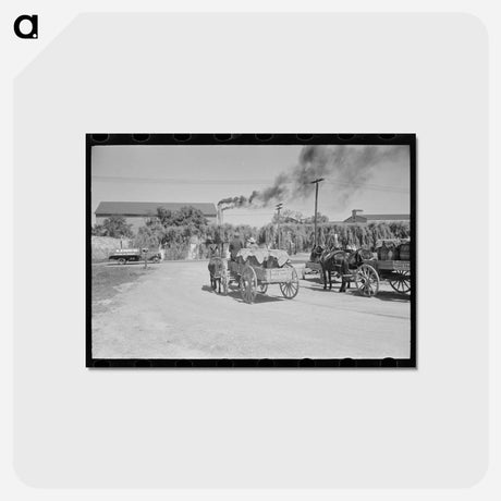 アートポストカード-Farmer with Liquid Feed
 - ラッセル リー Postcard.