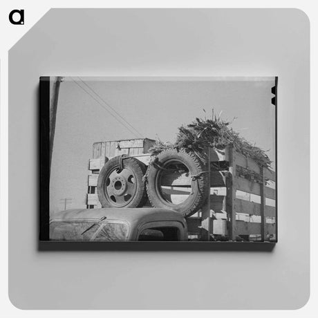 アートパネル-San Angelo Stock Show Arrival
 - ラッセル リー Canvas.