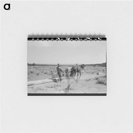 アートメモ帳-Dragging Logs, Pie Town
 - ラッセル リー Memo.