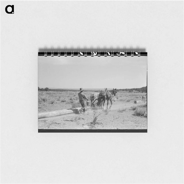 アートメモ帳-Dragging Logs, Pie Town
 - ラッセル リー Memo.