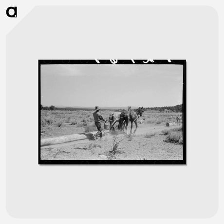 アートポストカード-Dragging Logs, Pie Town
 - ラッセル リー Postcard.