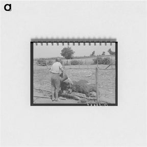 アートメモ帳-Daughter of a Tenant Farmer
 - ラッセル リー Memo.