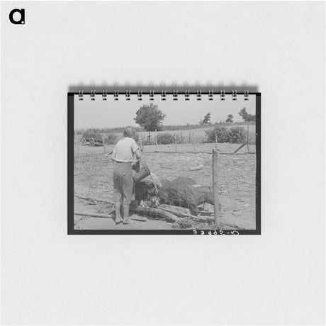 アートメモ帳-Daughter of a Tenant Farmer
 - ラッセル リー Memo.