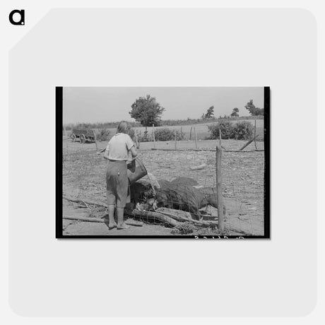 アートポストカード-Daughter of a Tenant Farmer
 - ラッセル リー Postcard.