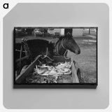アートパネル-Mules and Farmer in Eufaula
 - ラッセル リー Canvas.