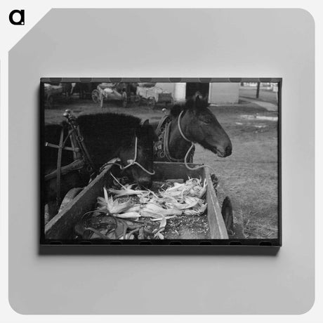 アートパネル-Mules and Farmer in Eufaula
 - ラッセル リー Canvas.
