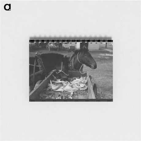 アートメモ帳-Mules and Farmer in Eufaula
 - ラッセル リー Memo.