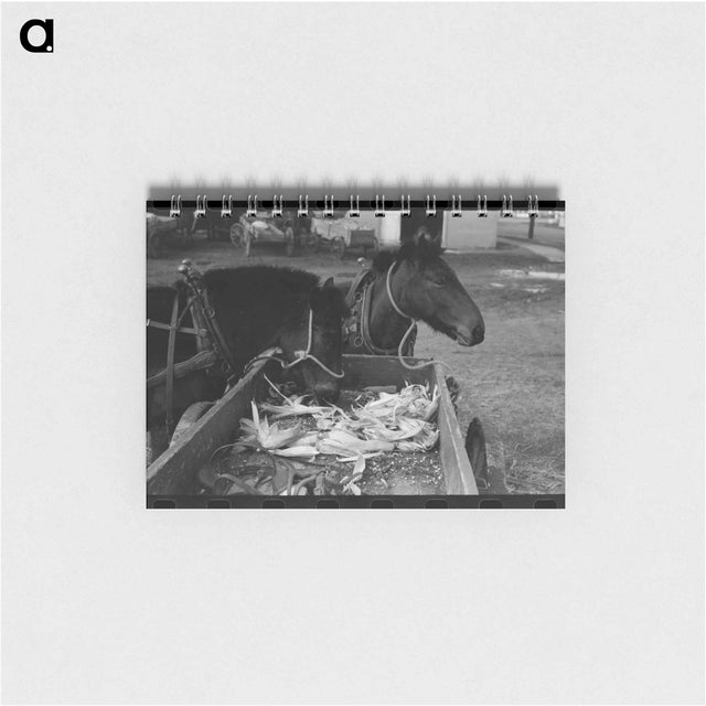 アートメモ帳-Mules and Farmer in Eufaula
 - ラッセル リー Memo.