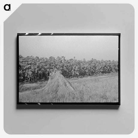 アートパネル-Southeast Missouri Farms
 - ラッセル リー Canvas.