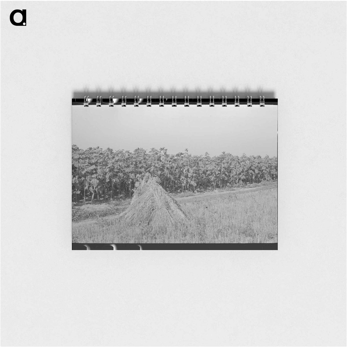 アートメモ帳-Southeast Missouri Farms
 - ラッセル リー Memo.