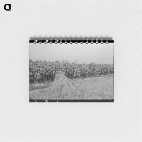 アートメモ帳-Southeast Missouri Farms
 - ラッセル リー Memo.